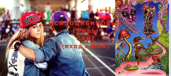 МДМА Бородино