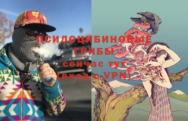 трава Бронницы