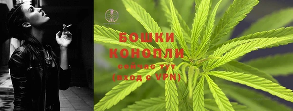 трава Бронницы