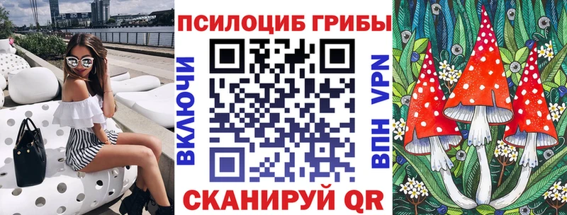 Купить где Касли Галлюциногенные грибы Psilocybine cubensis